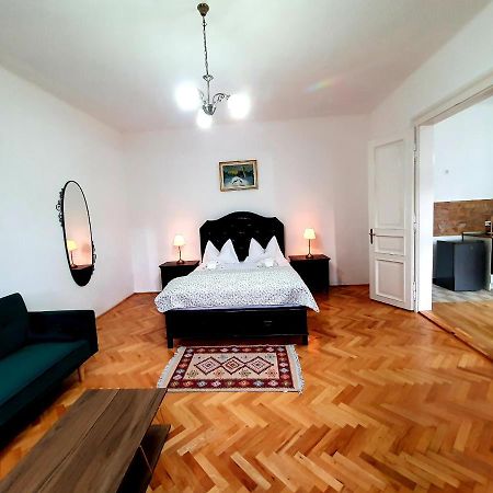 Maximus Apartments Sighişoara Extérieur photo