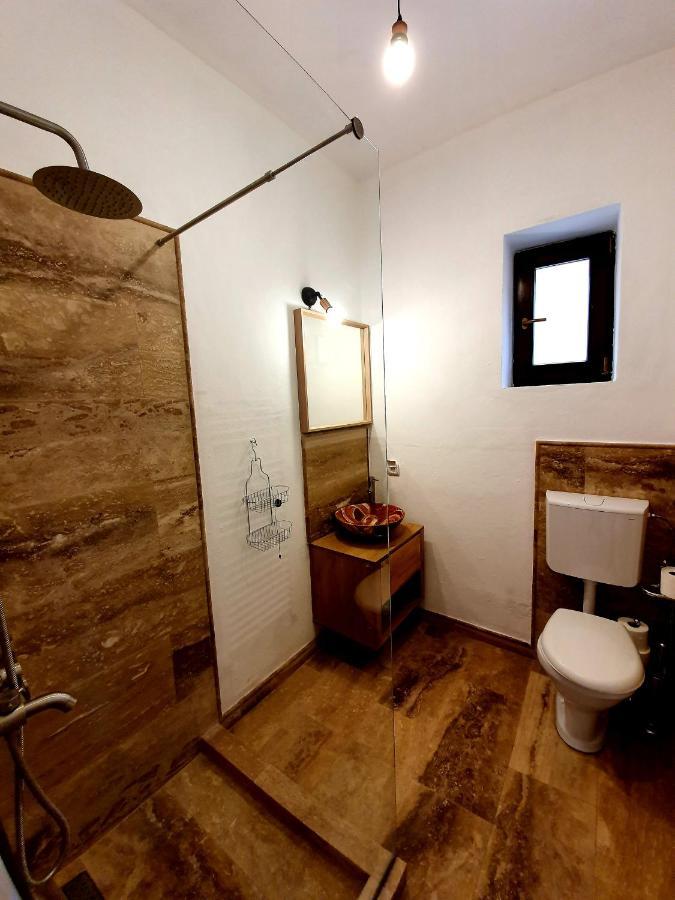 Maximus Apartments Sighişoara Extérieur photo