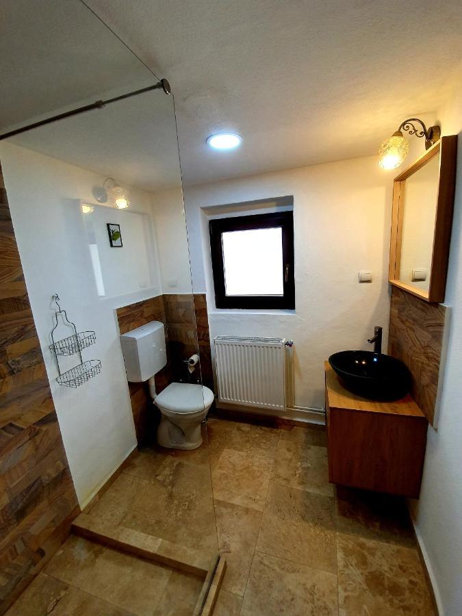 Maximus Apartments Sighişoara Extérieur photo